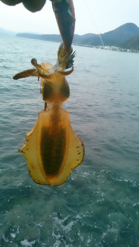 大潮　満月に誘われて