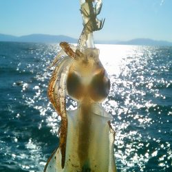 雪が降る前に～♪