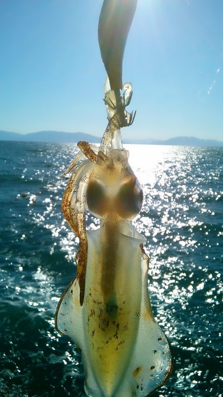 雪が降る前に～♪