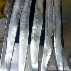 お隣さんは釣れてますけど！！