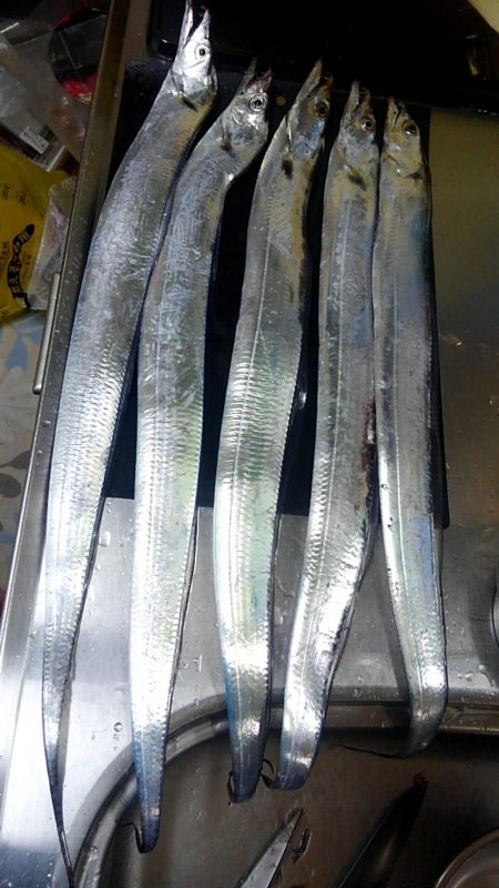 お隣さんは釣れてますけど！！