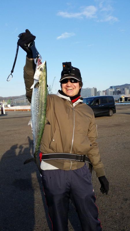 激シブの中、サゴシ2匹