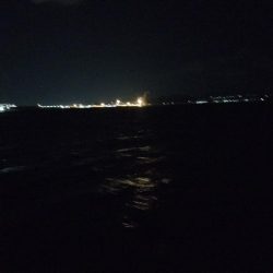 釣り納めの太刀魚