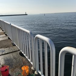 12月初の！！！ アイツ。