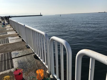 12月初の！！！ アイツ。