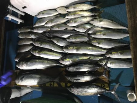 阿波哲ジギング