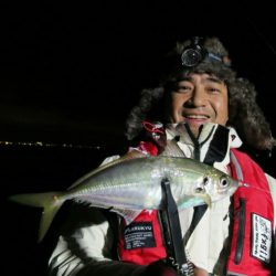 ロッフイッシュ便