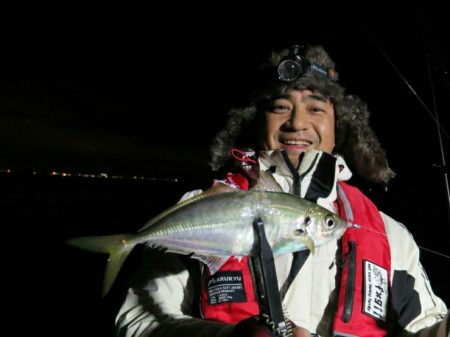 ロッフイッシュ便