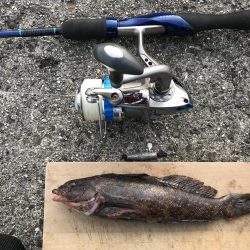 雑魚がちょこっと