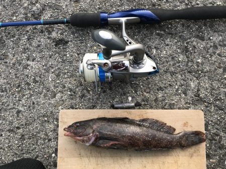 雑魚がちょこっと