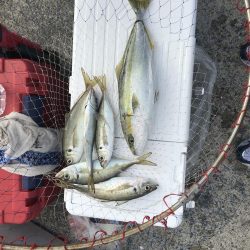 ガシラッシュ(船釣りバージョン)