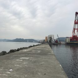 エソ のち ガシラ