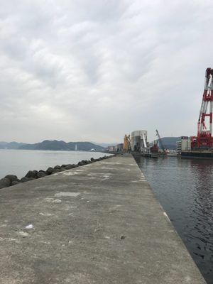 エソ のち ガシラ