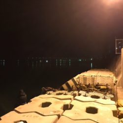 ガジラ祭りじゃー