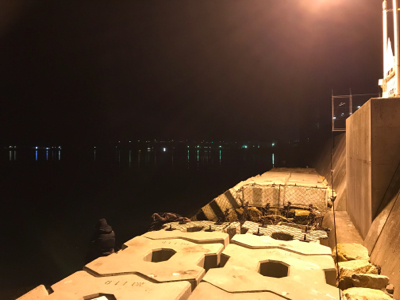 ガジラ祭りじゃー