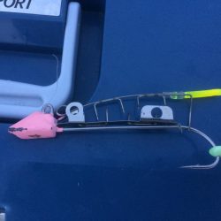 タチウオ 小さいですがまだ釣れてます