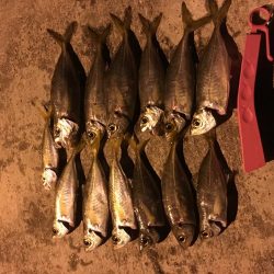 雪！風！雪！そして爆風！