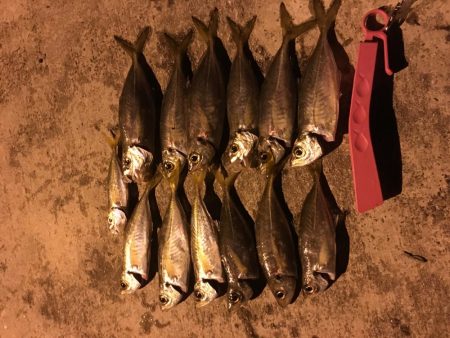 雪！風！雪！そして爆風！