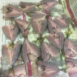 椿泊でかけ釣り