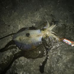 あっ!忘れてきたぁ・・・