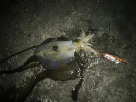 あっ!忘れてきたぁ・・・