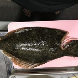 スーパーライトで