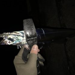 湾奥タチウオ。まだまだシーズン継続か!?