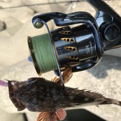 あたりが欲しくて！