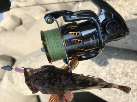 あたりが欲しくて！