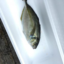 釣り堀