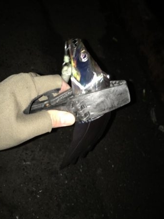 湾奥タチウオ。丁寧に探ればチャンス有り！