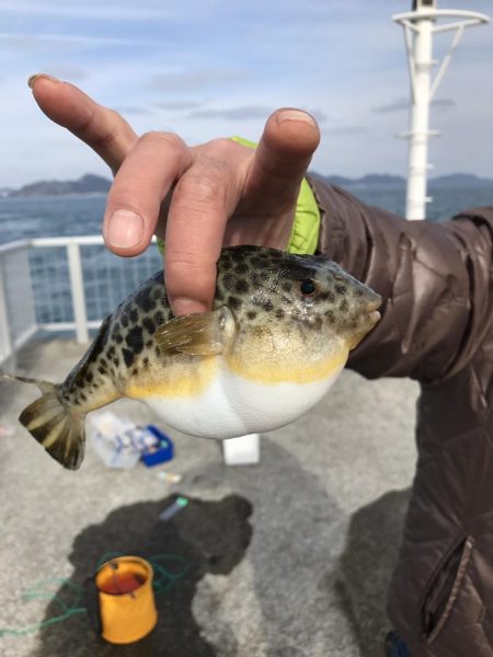 カワハギ釣り