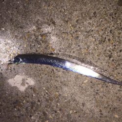 まさかのタッチー！