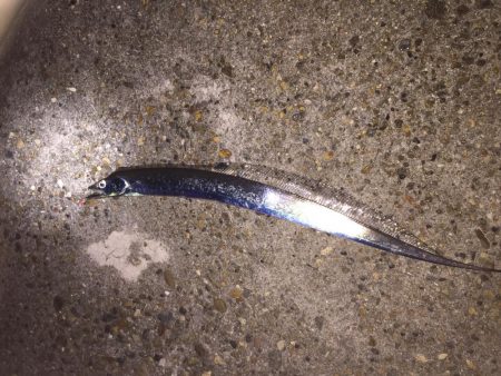 まさかのタッチー！