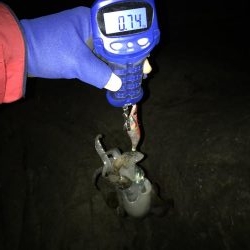 マイポイントへ