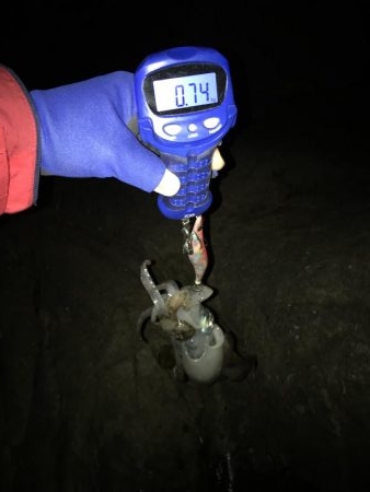 マイポイントへ