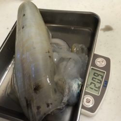 でたよ キロアップ！