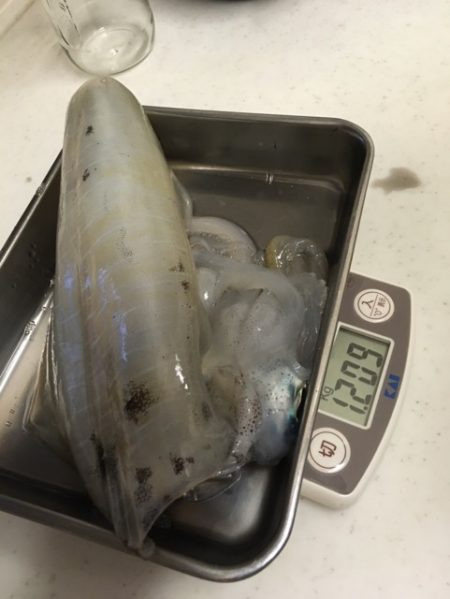 でたよ キロアップ！