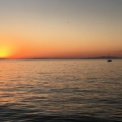 タチウオ、ガシラ