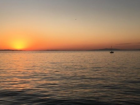 タチウオ、ガシラ