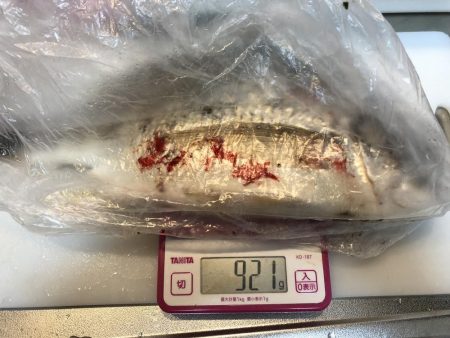 初めてのルアー釣果