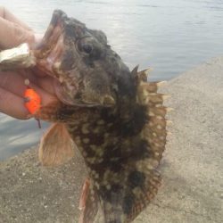 クリスマスの日