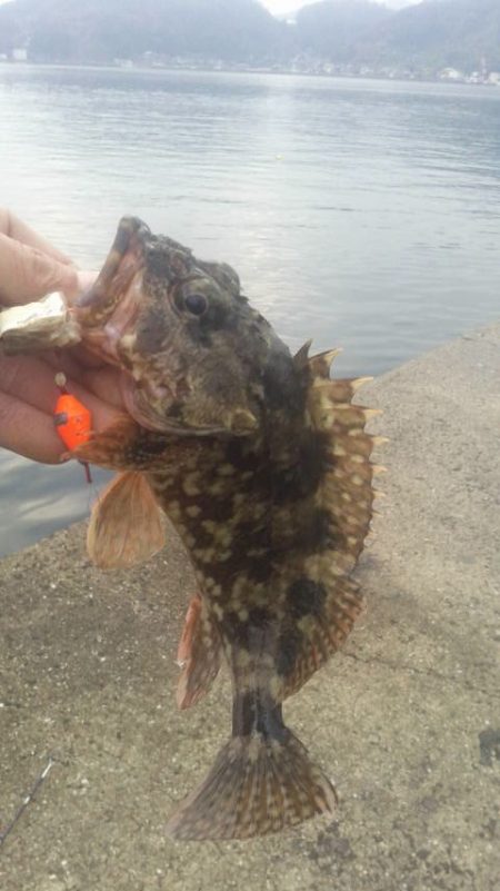 クリスマスの日