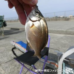 小物釣りで何とか5目