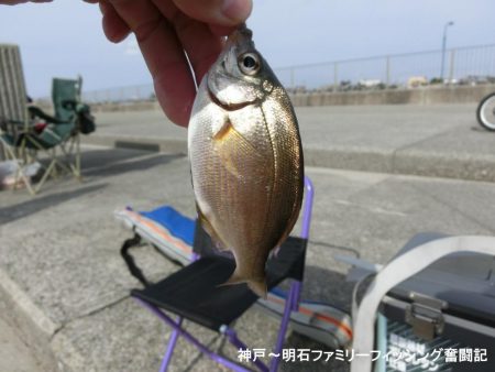 小物釣りで何とか5目