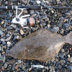 ショアジギング