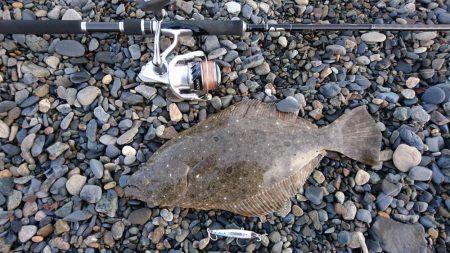 ショアジギング