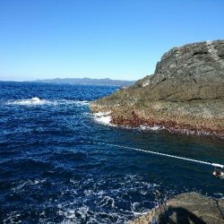 潮岬でグレ釣り