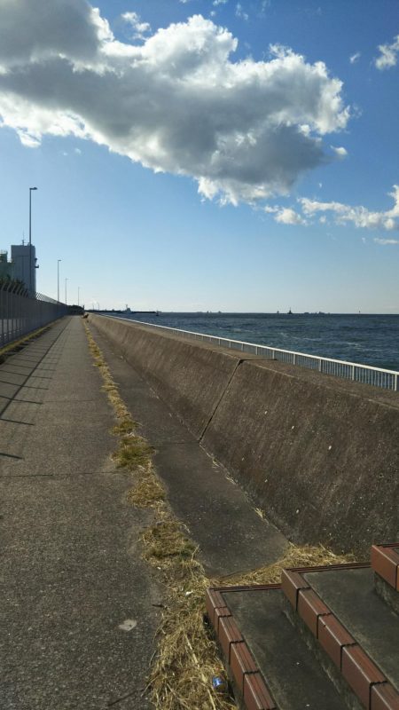 千葉港でのサビキ釣り