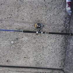 これはぶりじや